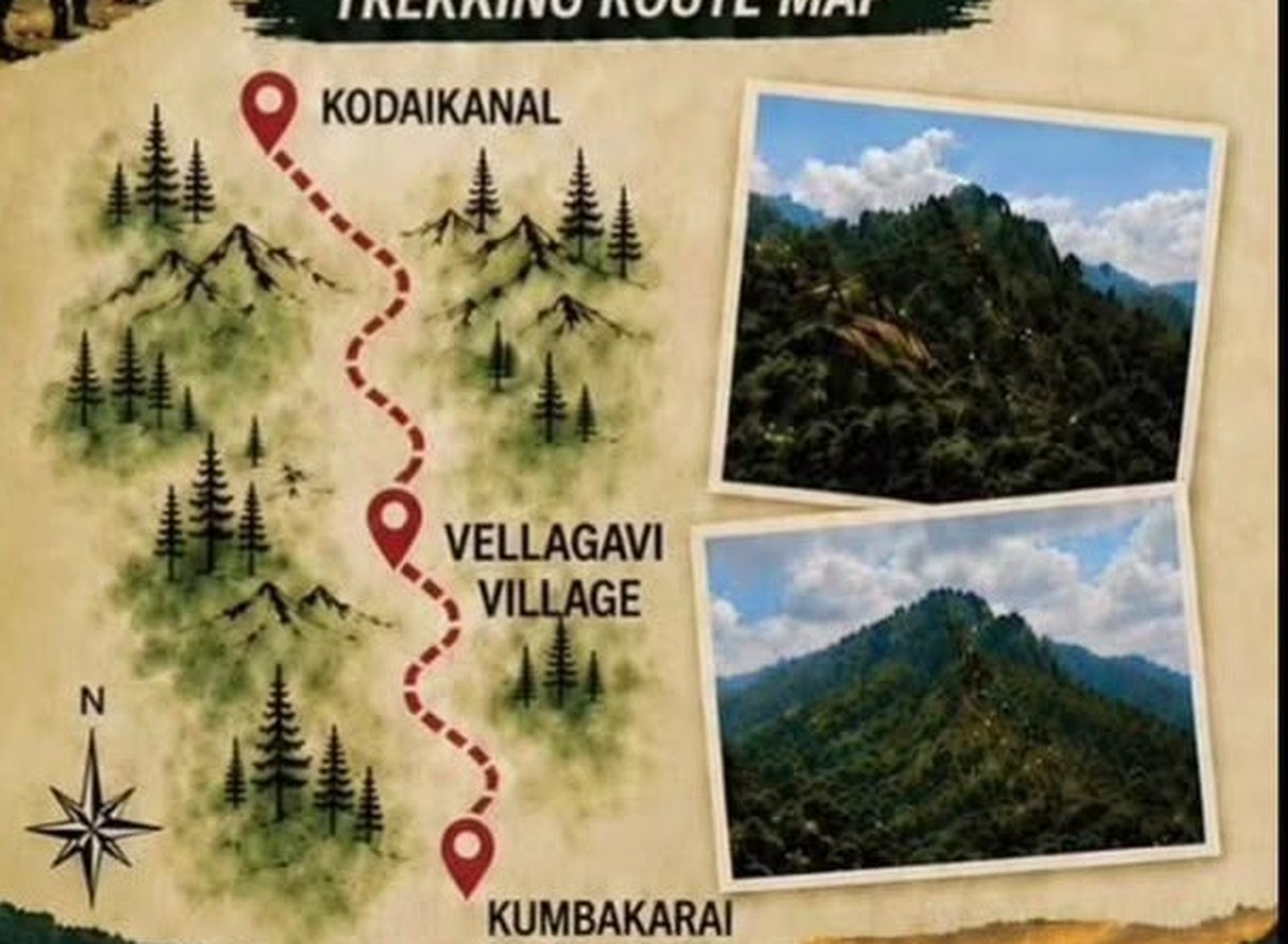 Sample night trek