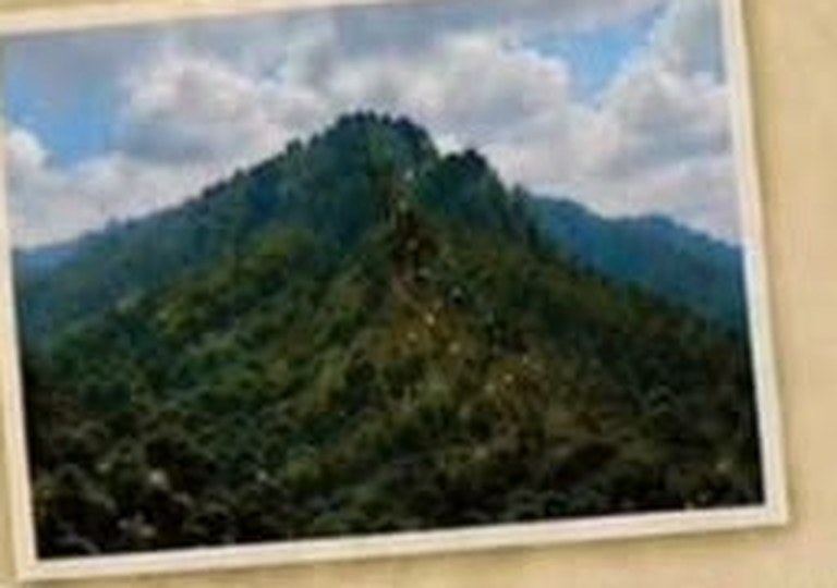 Sample forest permit update